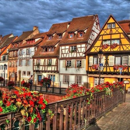 Appartement Climatise 70 M2, Proximite De Colmar Sainte-Croix-en-Plaine المظهر الخارجي الصورة
