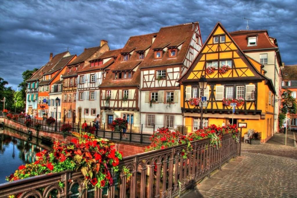 Appartement Climatise 70 M2, Proximite De Colmar Sainte-Croix-en-Plaine المظهر الخارجي الصورة