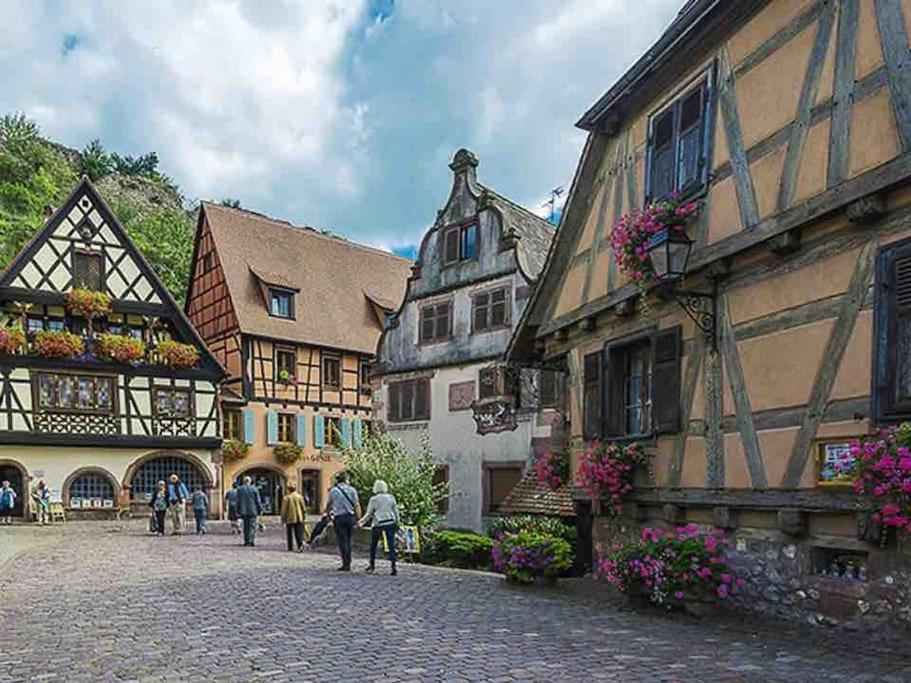 Appartement Climatise 70 M2, Proximite De Colmar Sainte-Croix-en-Plaine المظهر الخارجي الصورة