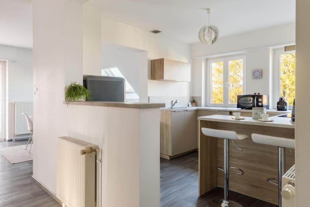 Appartement Climatise 70 M2, Proximite De Colmar Sainte-Croix-en-Plaine المظهر الخارجي الصورة