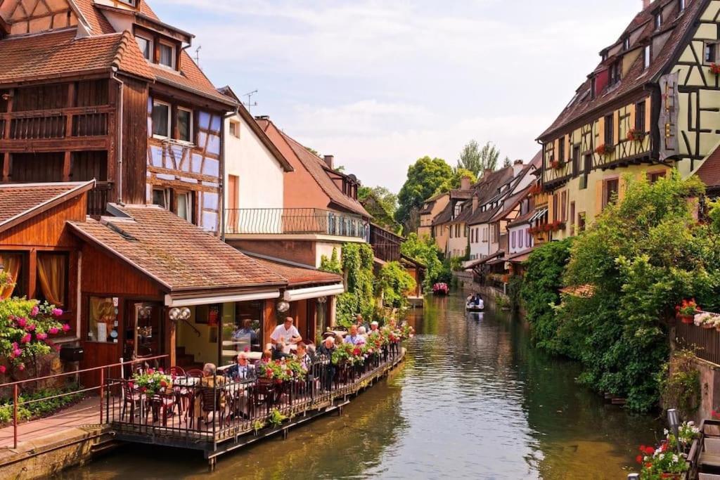 Appartement Climatise 70 M2, Proximite De Colmar Sainte-Croix-en-Plaine المظهر الخارجي الصورة