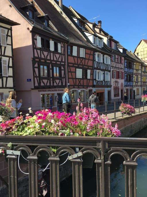 Appartement Climatise 70 M2, Proximite De Colmar Sainte-Croix-en-Plaine المظهر الخارجي الصورة