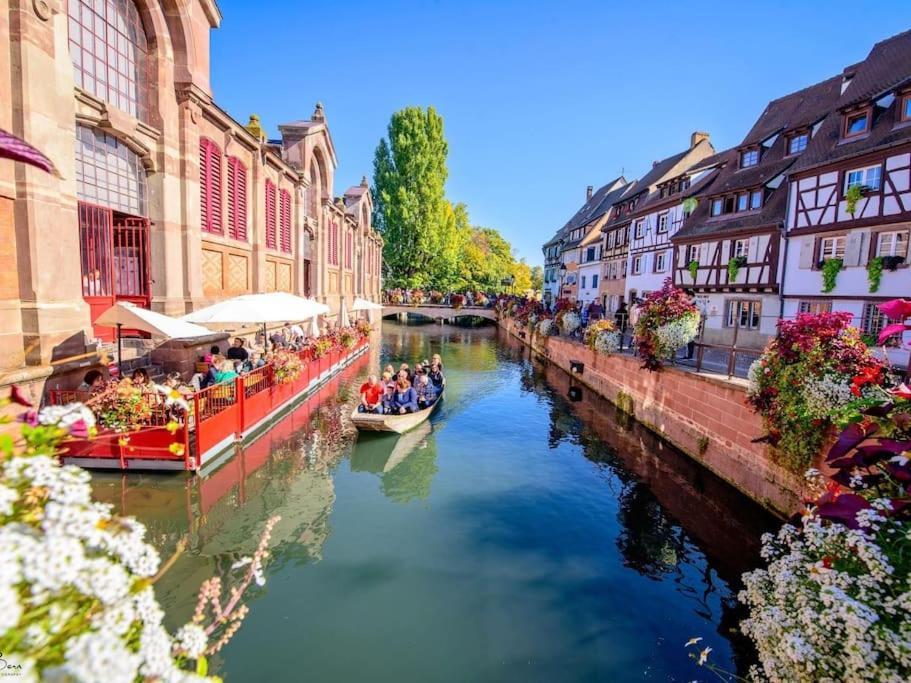 Appartement Climatise 70 M2, Proximite De Colmar Sainte-Croix-en-Plaine المظهر الخارجي الصورة