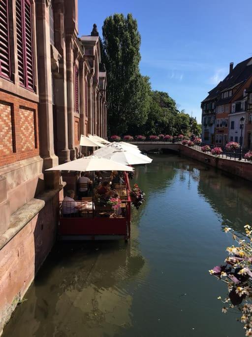 Appartement Climatise 70 M2, Proximite De Colmar Sainte-Croix-en-Plaine المظهر الخارجي الصورة